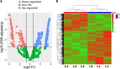 High-throughput sequencing reveals hub genes for human early embryonic development arrest in vitro fertilization: a pilot study